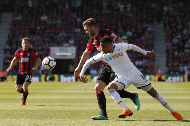 的年轻阵容 的年轻阵容