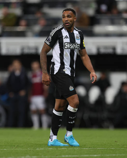 队友安东 队友安东