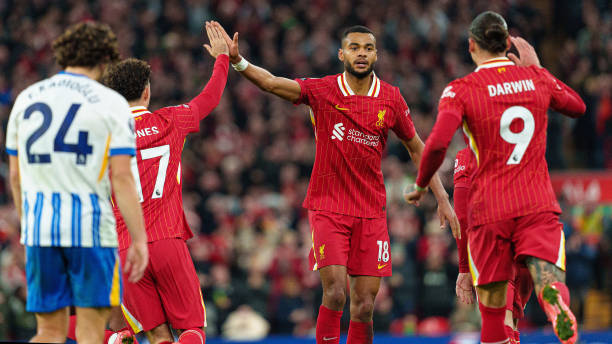 伦多猛龙和 伦多猛龙和